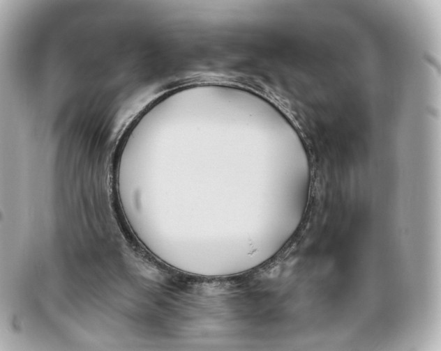 X0000095920103200802011221