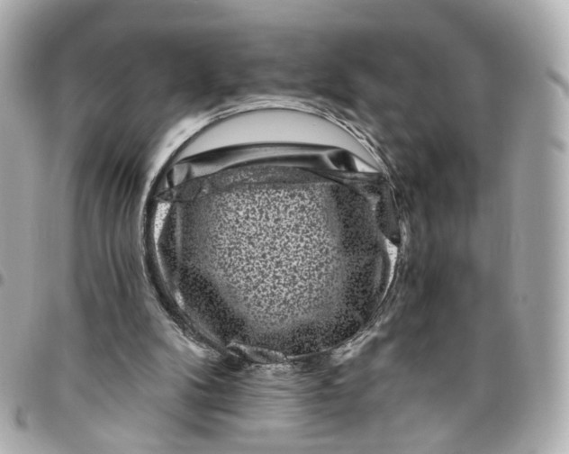 X0000095920104200802011221