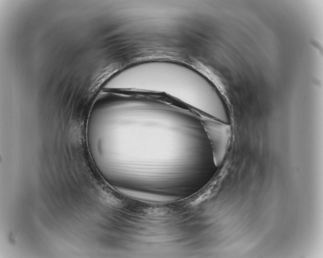 X0000095920105200802011221