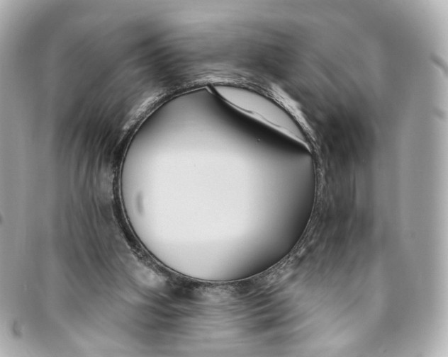 X0000095920106200802011221