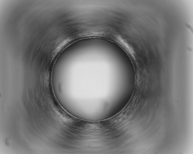 X0000095920107200802011221