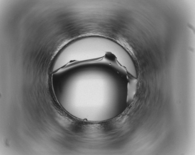 X0000095920108200802011221