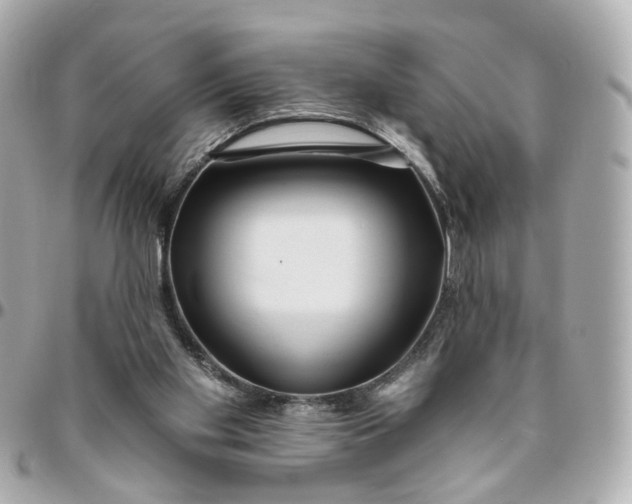 X0000095920109200802011221