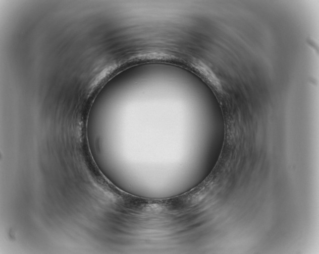 X0000095920111200802011221