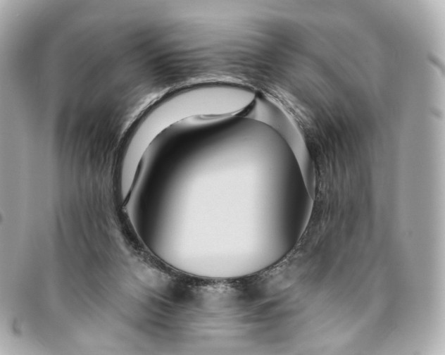 X0000095920112200802011221