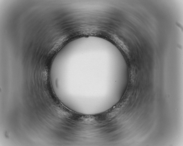 X0000095920113200802011221