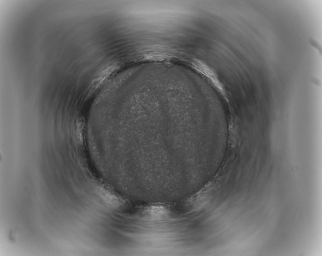 X0000095920114200802011221