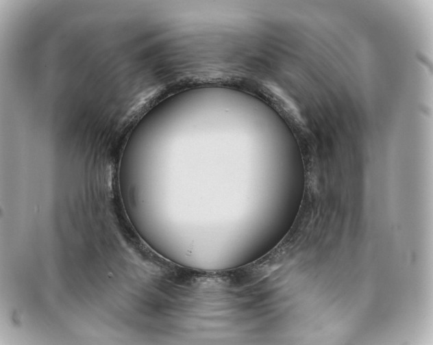 X0000095920115200802011221