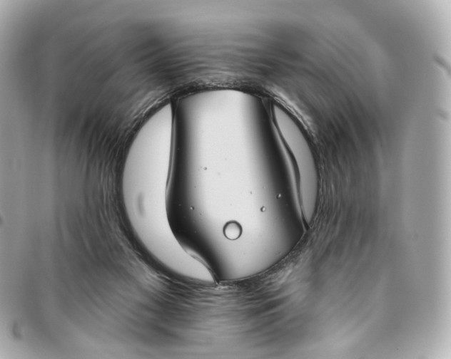 X0000095920117200802011221