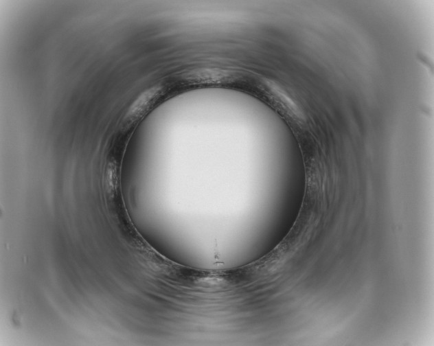 X0000095920119200802011221