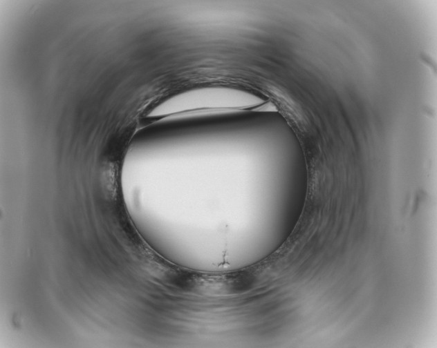 X0000095920121200802011221