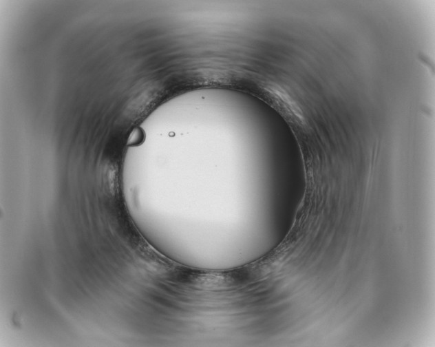 X0000095920123200802011221