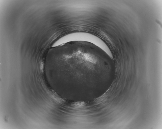 X0000095920124200802011221