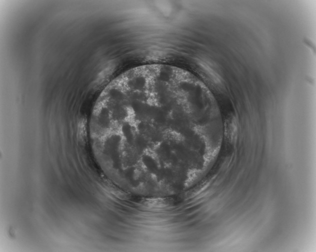 X0000095920127200802011221