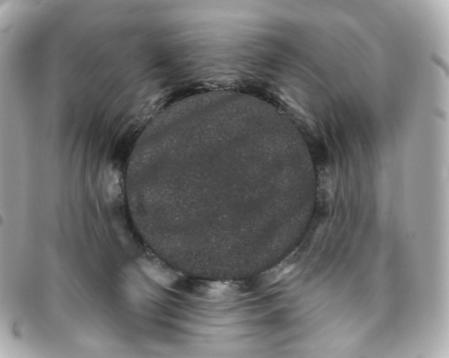 X0000095920130200802011221