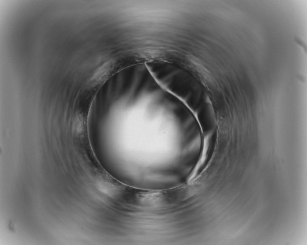 X0000095920132200802011221