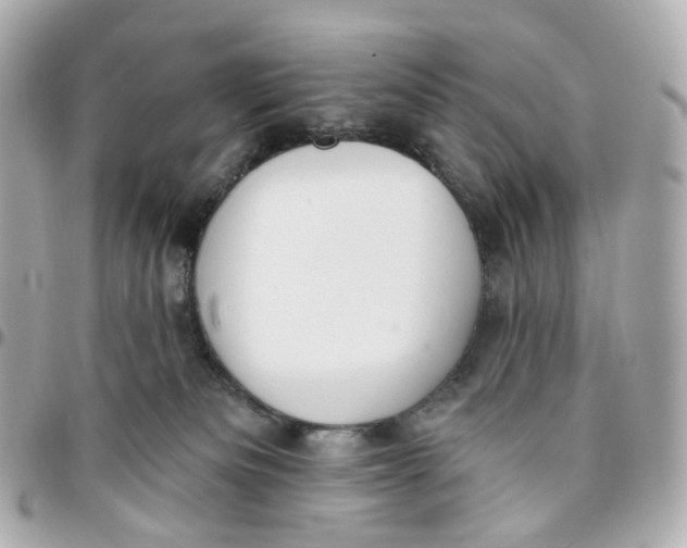 X0000095920133200802011221