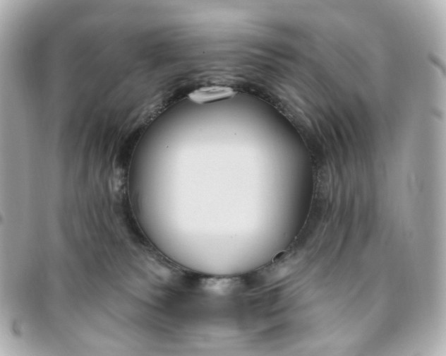 X0000095920135200802011221