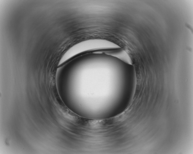 X0000095920136200802011221