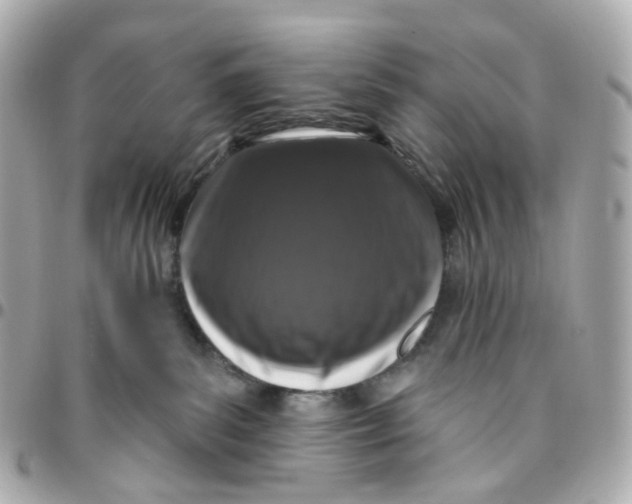 X0000095920139200802011221