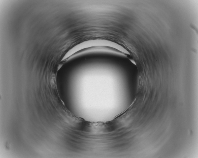 X0000095920141200802011221