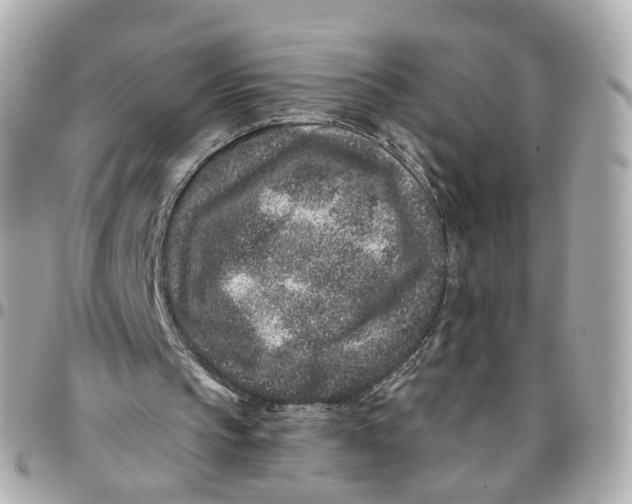 X0000095920145200802011220