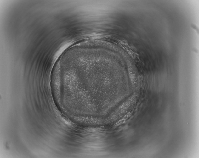 X0000095920147200802011220