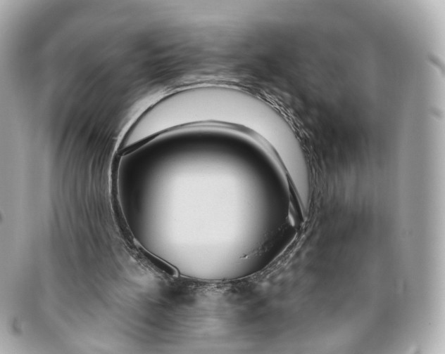 X0000095920148200802011220