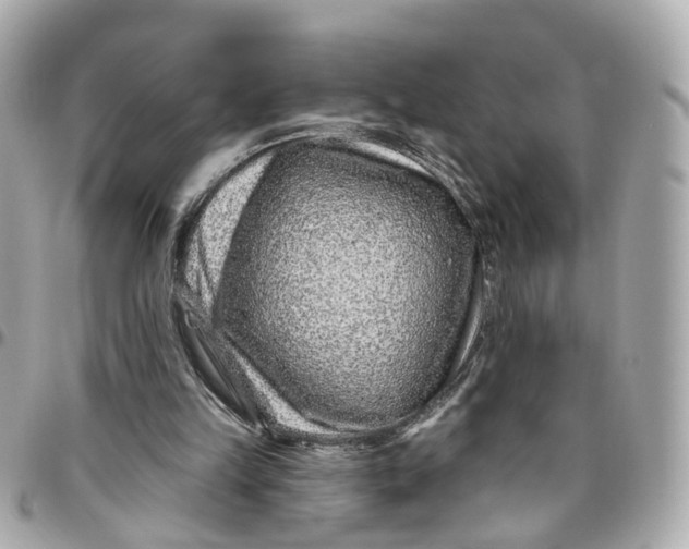 X0000095920149200802011220