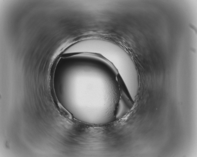 X0000095920150200802011220