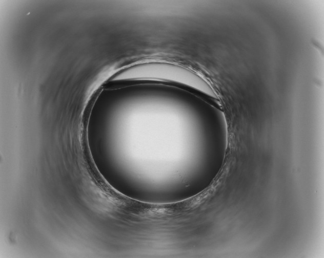 X0000095920152200802011220