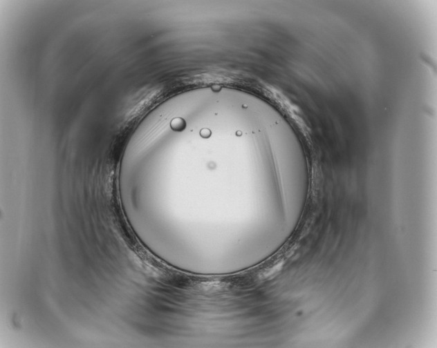 X0000095920153200802011220