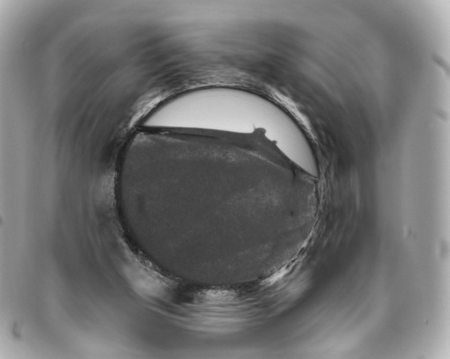 X0000095920154200802011220