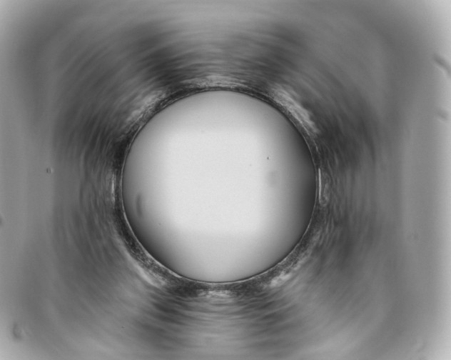 X0000095920157200802011220