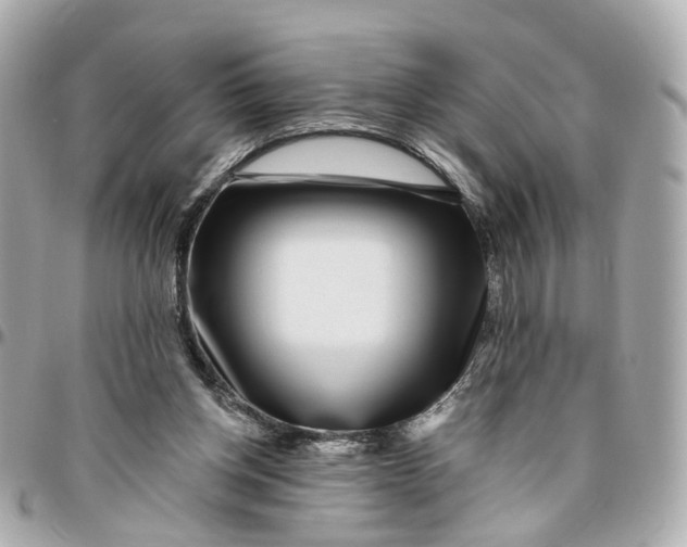 X0000095920158200802011220