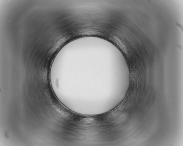 X0000095920159200802011220