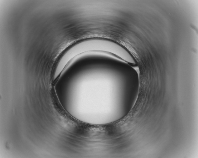 X0000095920160200802011220