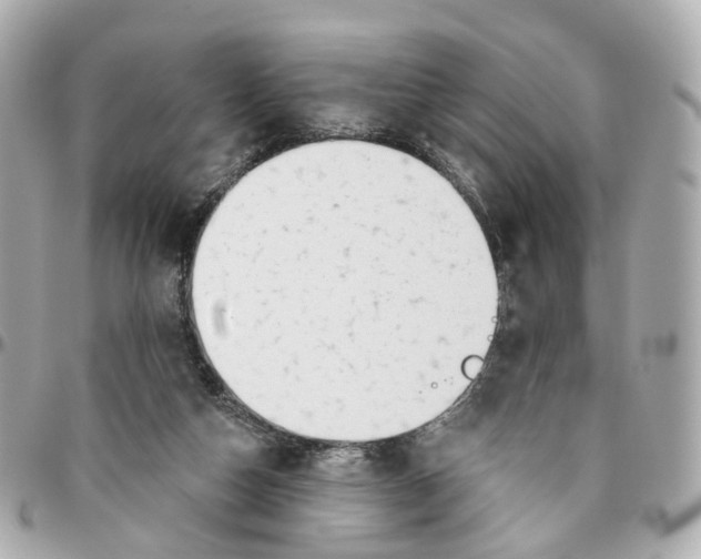 X0000095920162200802011220