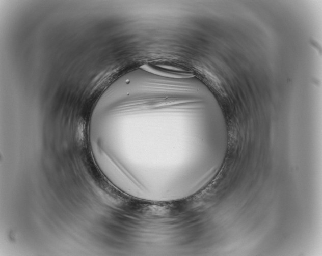 X0000095920166200802011220