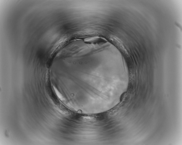 X0000095920167200802011220