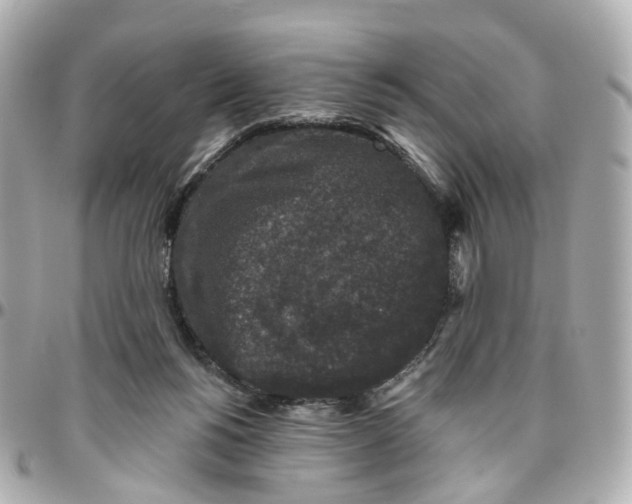 X0000095920168200802011220