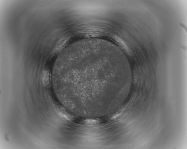 X0000095920169200802011220