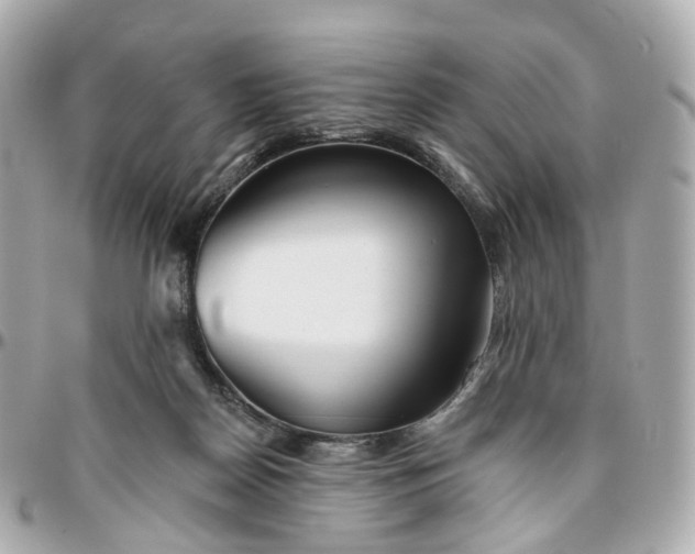 X0000095920170200802011220