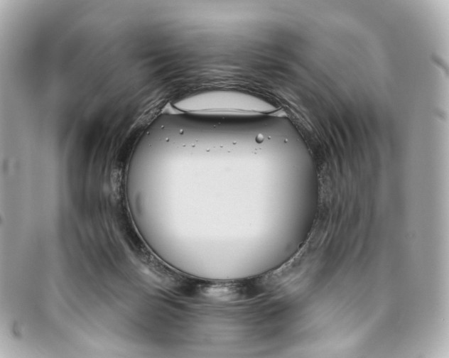 X0000095920171200802011220