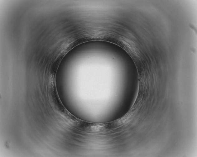 X0000095920172200802011220