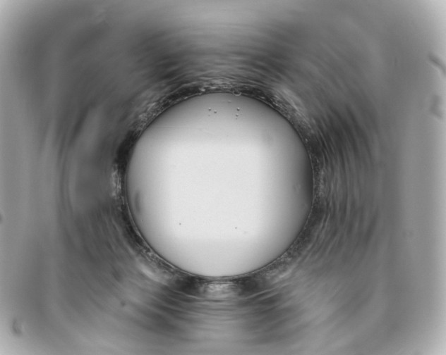 X0000095920173200802011220