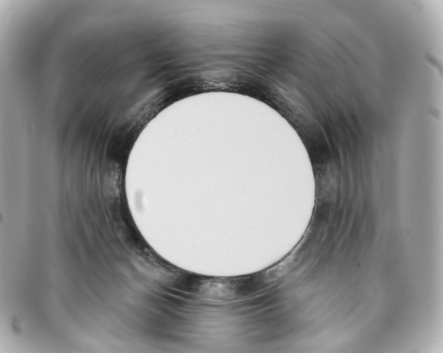 X0000095920174200802011220