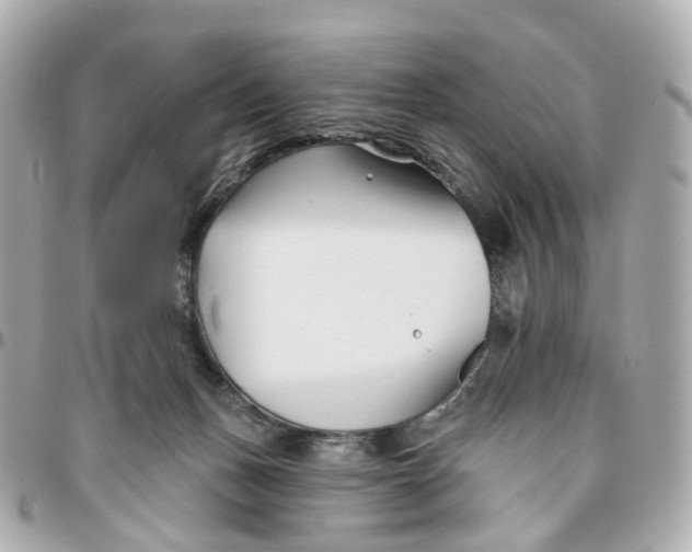 X0000095920175200802011220