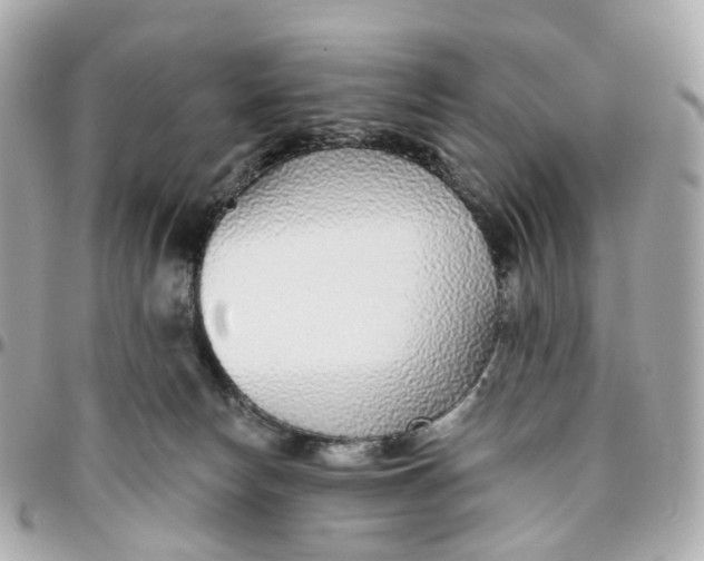 X0000095920178200802011221