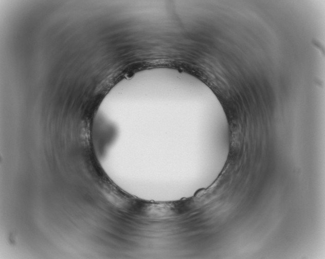 X0000095920179200802011221